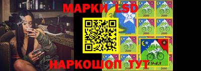 дживик Моздок