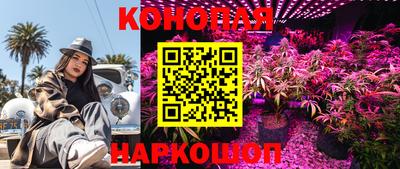 дживик Моздок