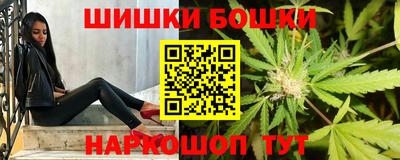 дживик Моздок