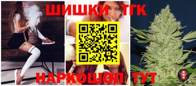 дживик Моздок