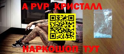 дживик Моздок