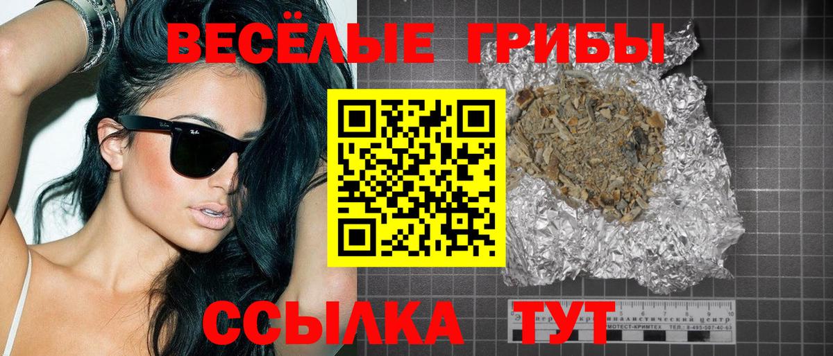 закладки  Вход с VPN  Тольятти  Псилоцибиновые грибы Psilocybine cubensis 