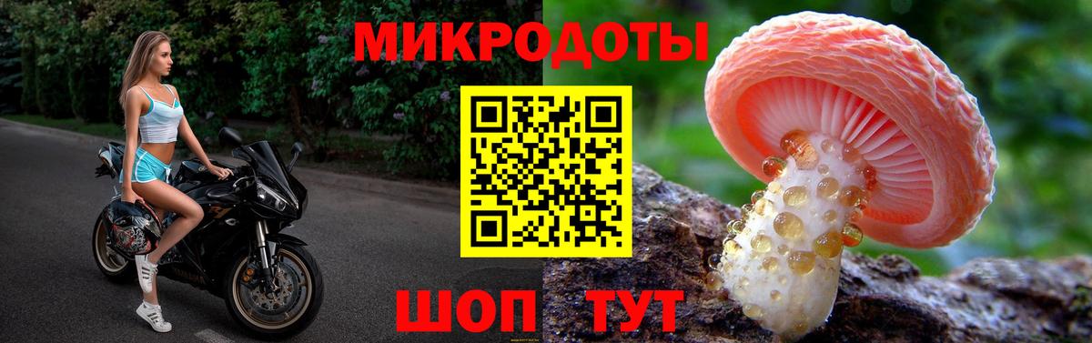 Псилоцибиновые грибы Psilocybine cubensis Тольятти